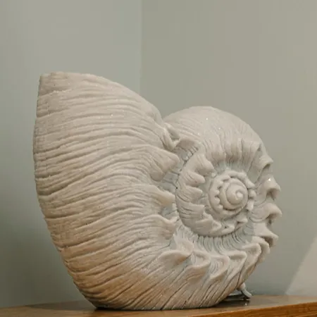 Nautilus *